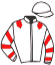 casaque portée par Vogt Mlle S. jockey du cheval de course SEVENTH WONDER, information pmu ZETURF