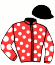 casaque portée par Seidl M. jockey du cheval de course MASTERPLAN, information pmu ZETURF casaque portée par Seidl M. jockey du cheval de course MASTERPLAN, information pmu ZETURF