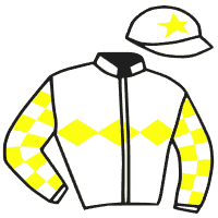 casaque portée par Besnier H. jockey du cheval de course XAARINE, information pmu ZETURF