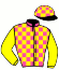 casaque portée par Besnier H. jockey du cheval de course FLUTE EN SOL, information pmu ZETURF casaque portée par Besnier H. jockey du cheval de course FLUTE EN SOL, information pmu ZETURF