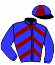 casaque portée par Petit J. jockey du cheval de course JAGUAR DELO, information pmu ZETURF casaque portée par Petit J. jockey du cheval de course JAGUAR DELO, information pmu ZETURF
