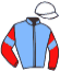 casaque portée par Andrieux T. jockey du cheval de course KELANNEE, information pmu ZETURF casaque portée par Andrieux T. jockey du cheval de course KELANNEE, information pmu ZETURF