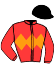 casaque portée par Seigneul A. jockey du cheval de course AK ISHAN, information pmu ZETURF casaque portée par Seigneul A. jockey du cheval de course AK ISHAN, information pmu ZETURF