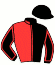 casaque portée par Wester R. jockey du cheval de course LUSSAC DE VANDEL, information pmu ZETURF casaque portée par Wester R. jockey du cheval de course LUSSAC DE VANDEL, information pmu ZETURF