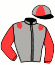 casaque portée par Favriaux Mal. jockey du cheval de course SCILIAR, information pmu ZETURF casaque portée par Favriaux Mal. jockey du cheval de course SCILIAR, information pmu ZETURF