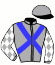 casaque portée par Besnier H. jockey du cheval de course ANTRIM, information pmu ZETURF casaque portée par Besnier H. jockey du cheval de course ANTRIM, information pmu ZETURF