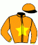 casaque portée par Weissmeier Mlle E. R. jockey du cheval de course LICHTSTERN, information pmu ZETURF