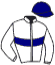 casaque portée par Boisseau L. jockey du cheval de course WIKENDA, information pmu ZETURF