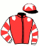 casaque portée par Molins Mme Amb. jockey du cheval de course SOUND OF SIXTIES, information pmu ZETURF