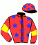 casaque portée par Veron F. jockey du cheval de course GARDEN PARK, information pmu ZETURF