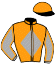 casaque portée par De Lepine Arn. jockey du cheval de course CHICATCHI, information pmu ZETURF