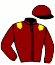 casaque portée par Merille C. jockey du cheval de course IELIX, information pmu ZETURF casaque portée par Merille C. jockey du cheval de course IELIX, information pmu ZETURF