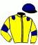 casaque portée par Veron F. jockey du cheval de course SAFRE TOURETTES, information pmu ZETURF