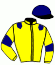 casaque portée par Veron F. jockey du cheval de course SAFRE TOURETTES, information pmu ZETURF casaque portée par Veron F. jockey du cheval de course SAFRE TOURETTES, information pmu ZETURF