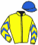 casaque portée par Chenet V. jockey du cheval de course BRUYERE, information pmu ZETURF casaque portée par Chenet V. jockey du cheval de course BRUYERE, information pmu ZETURF