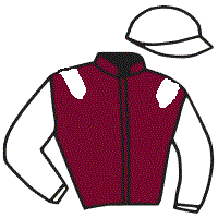 casaque portée par Foulon M. jockey du cheval de course PAPA AU RHUM, information pmu ZETURF casaque portée par Foulon M. jockey du cheval de course PAPA AU RHUM, information pmu ZETURF