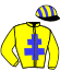 casaque portée par Laisis D. jockey du cheval de course DUNAWAY (FR), information pmu ZETURF