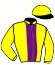 casaque portée par Foulon M. jockey du cheval de course DIAMOND CITY (FR), information pmu ZETURF