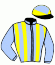 casaque portée par Foulon M. jockey du cheval de course EVINERUDE (FR), information pmu ZETURF