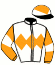 casaque portée par Mouesan H. jockey du cheval de course SANTE AL MAURY (AR), information pmu ZETURF