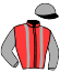 casaque portée par Debue R. jockey du cheval de course GIOTTA (FR), information pmu ZETURF