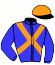casaque portée par Clozier F. jockey du cheval de course I LOVE GABINLEA (FR), information pmu ZETURF