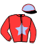 casaque portée par Marty F. jockey du cheval de course GALANT DU LOIR (FR), information pmu ZETURF