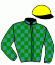 casaque portée par Rame M. jockey du cheval de course SALVINIA, information pmu ZETURF