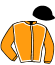 casaque portée par Denechere R. W. jockey du cheval de course HARPIE DU PERCHE (FR), information pmu ZETURF