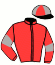 casaque portée par Paulard J. C. jockey du cheval de course INCA DE TEVA (FR), information pmu ZETURF