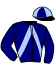 casaque portée par Brossard N. R. jockey du cheval de course GAYA DES ROSEAUX, information pmu ZETURF