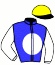 casaque portée par Julliot R. jockey du cheval de course TOP ROCK TALULA (IE), information pmu ZETURF