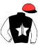 casaque portée par Mingant M. jockey du cheval de course SINNDAROSE (FR), information pmu ZETURF