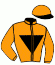 casaque portée par Gavilan Ale. jockey du cheval de course PIU BIRCH (FR), information pmu ZETURF