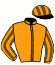 casaque portée par Abrivard M. jockey du cheval de course INNAMORATA FORTE, information pmu ZETURF