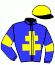 casaque portée par Pouchin A. jockey du cheval de course IL DECAMERONE, information pmu ZETURF