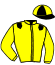 casaque portée par Marty F. jockey du cheval de course GAIAC D'AVIGNERE, information pmu ZETURF