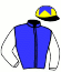 casaque portée par Peslier O. jockey du cheval de course NADIA DU LOUP, information pmu ZETURF