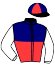 casaque portée par Fleury Ant. jockey du cheval de course ODIN NORMANDY, information pmu ZETURF