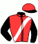 casaque portée par Brossard N. R. jockey du cheval de course HERMES ANGEL, information pmu ZETURF