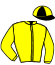 casaque portée par Foulon M. jockey du cheval de course HAN RASTABAN (AR), information pmu ZETURF casaque portée par Foulon M. jockey du cheval de course HAN RASTABAN (AR), information pmu ZETURF