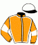 casaque portée par Vidotto Mlle M. jockey du cheval de course RUMESNIL, information pmu ZETURF casaque portée par Vidotto Mlle M. jockey du cheval de course RUMESNIL, information pmu ZETURF