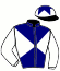 casaque portée par Liegeois Mlle R. jockey du cheval de course ROSA PARKS, information pmu ZETURF casaque portée par Liegeois Mlle R. jockey du cheval de course ROSA PARKS, information pmu ZETURF