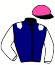 casaque portée par Riviere J. jockey du cheval de course KAZAR DE CRAVANS, information pmu ZETURF casaque portée par Riviere J. jockey du cheval de course KAZAR DE CRAVANS, information pmu ZETURF