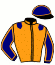 casaque portée par Lorent L. jockey du cheval de course HEY PETITE STAR, information pmu ZETURF