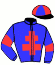 casaque portée par Gallon D. jockey du cheval de course MADE BY DE HOUELLE, information pmu ZETURF