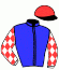 casaque portée par Mme Delphine Santiago jockey du cheval de course JARDIN BLEU, information pmu ZETURF