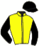 casaque portée par Gelabert Bautista J. jockey du cheval de course KERGRIST, information pmu ZETURF