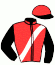 casaque portée par Brossard N. R. jockey du cheval de course HERMES ANGEL, information pmu ZETURF casaque portée par Brossard N. R. jockey du cheval de course HERMES ANGEL, information pmu ZETURF