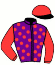casaque portée par Marie M. P. jockey du cheval de course HAVANO DU THAY, information pmu ZETURF